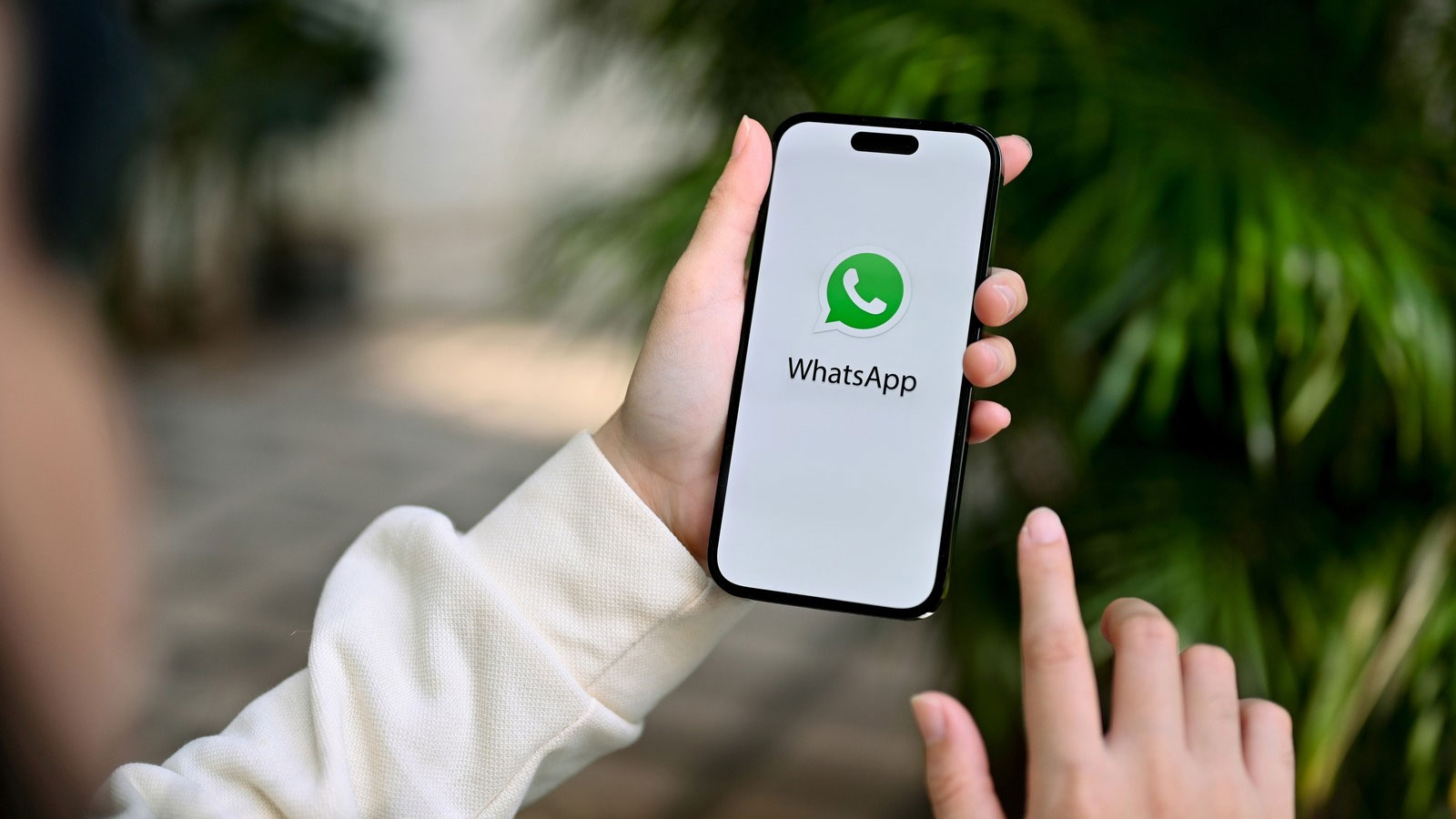 Automação WhatsApp